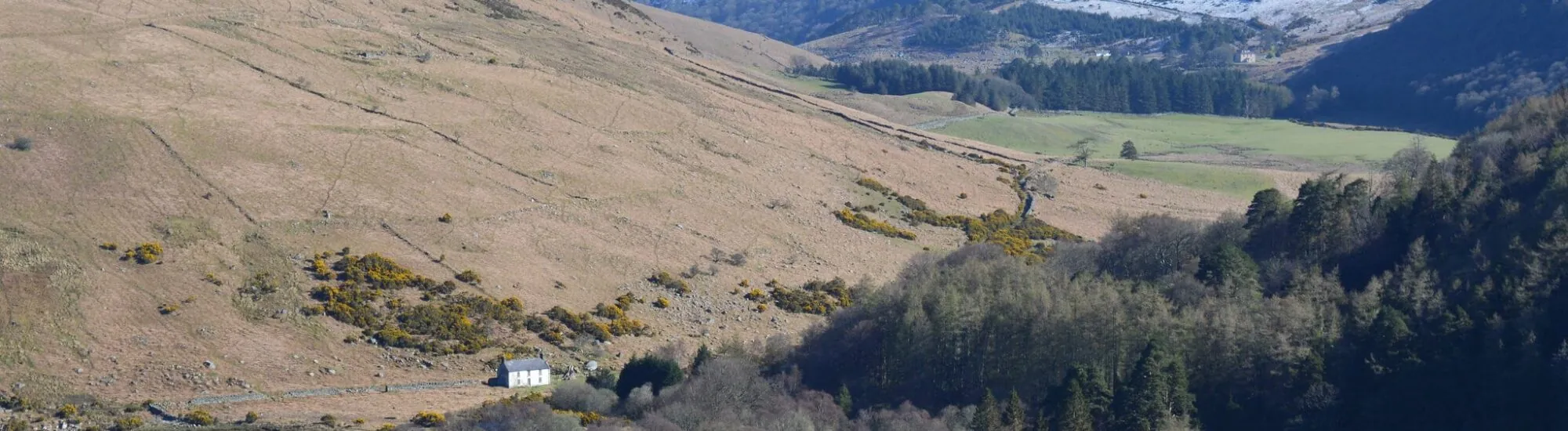 Il Lough Dan