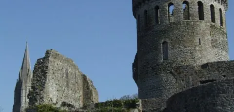 nenagh castle 1