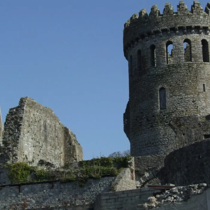 Nenagh Castle - Dennis Deery - cc