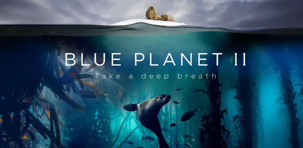 Il Blue Planet Live II arriverà a Dublino e Belfast nel 2019