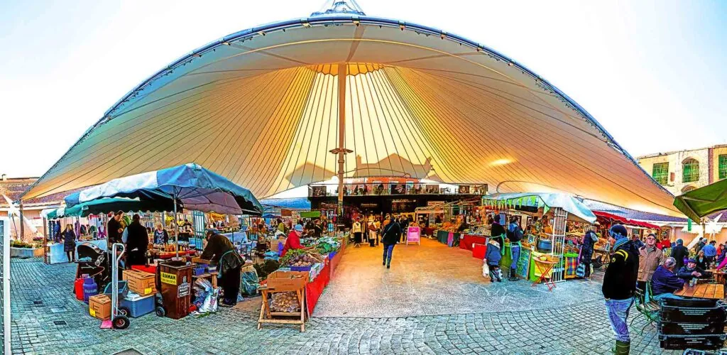 milk market