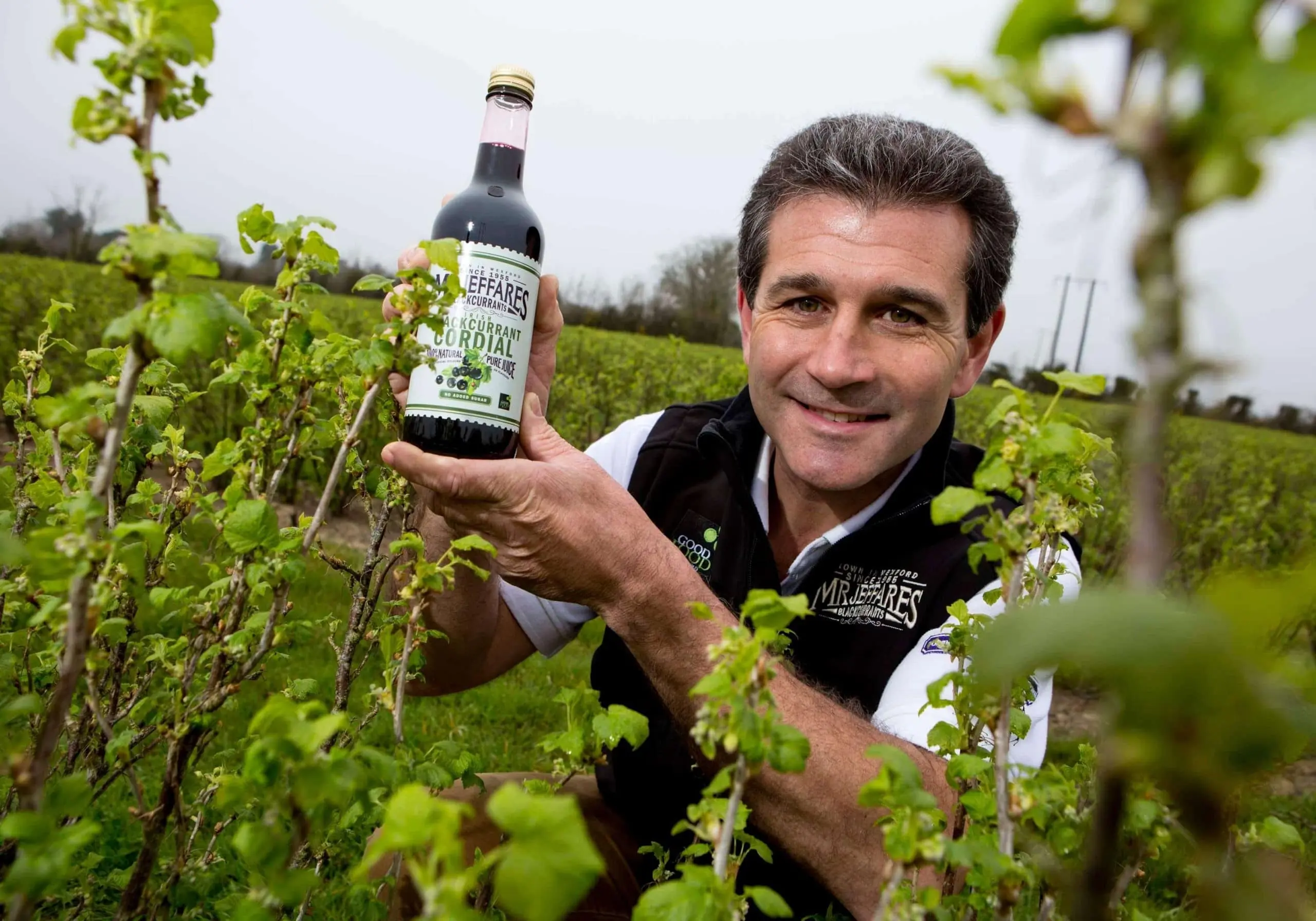 Il Blackcurrant