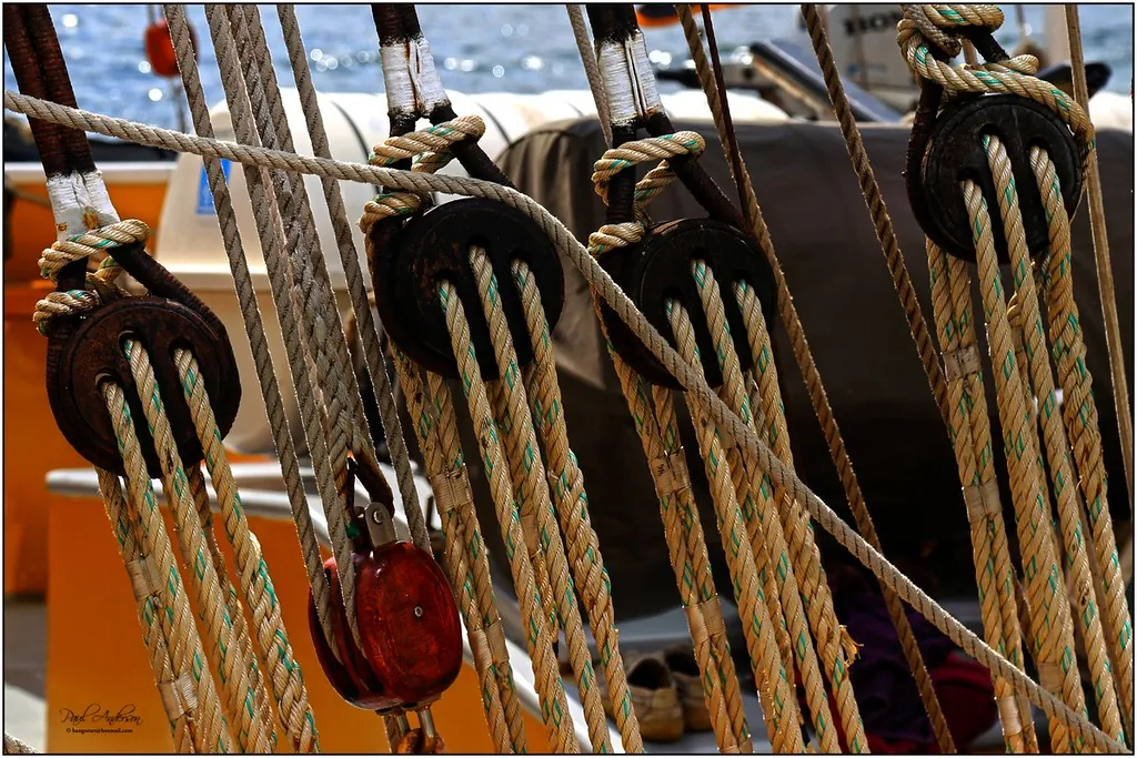 Yawl Festival
