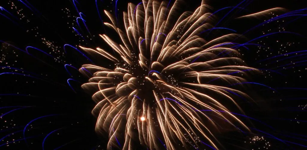Dublino annulla il suo festival di Capodanno