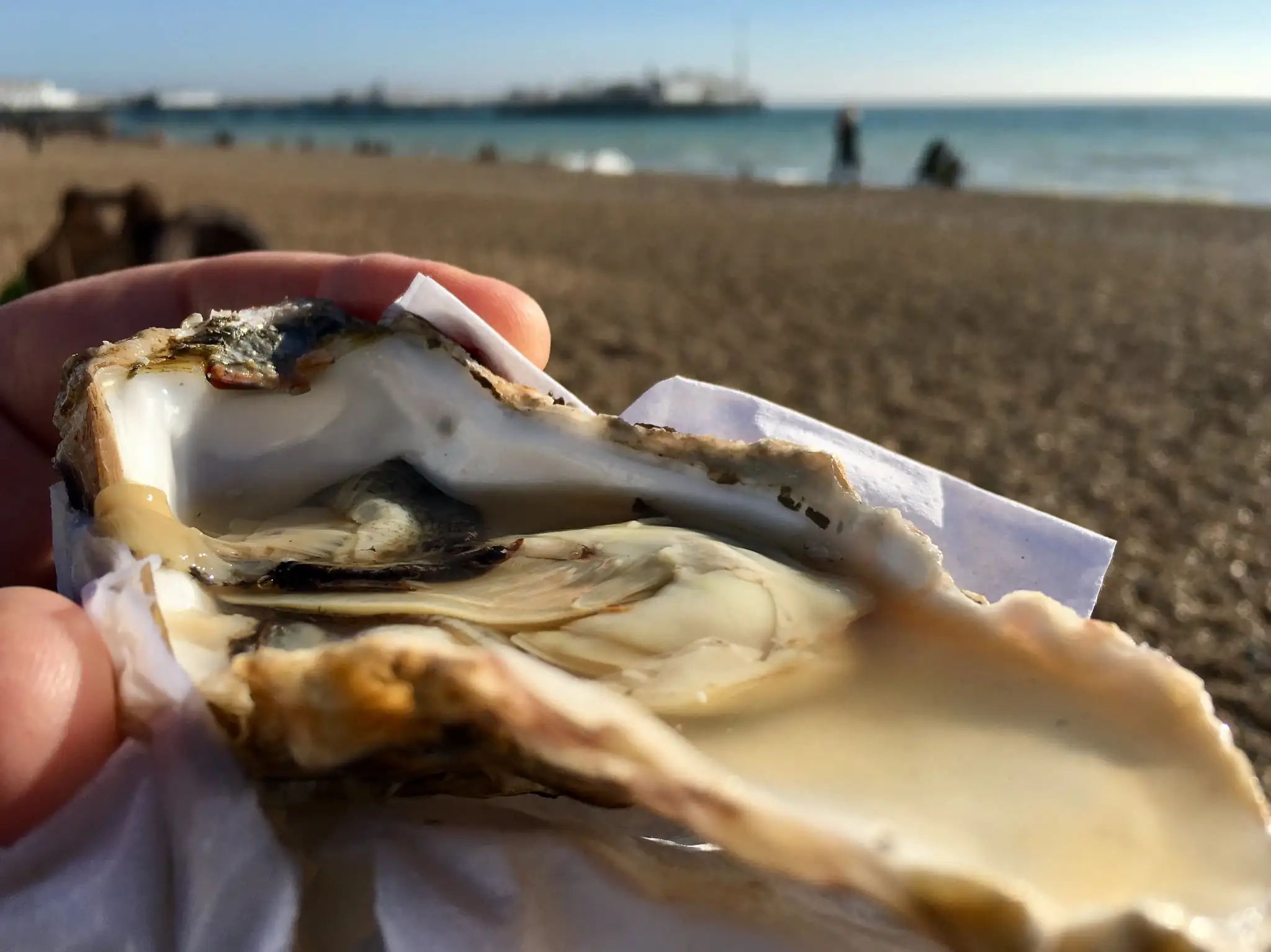 The Carlingford Oyster Festival