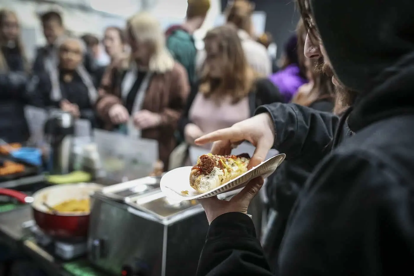 The irish vegan festival