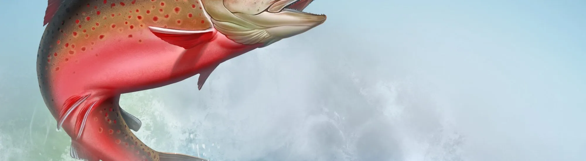 Il salmone della conoscenza