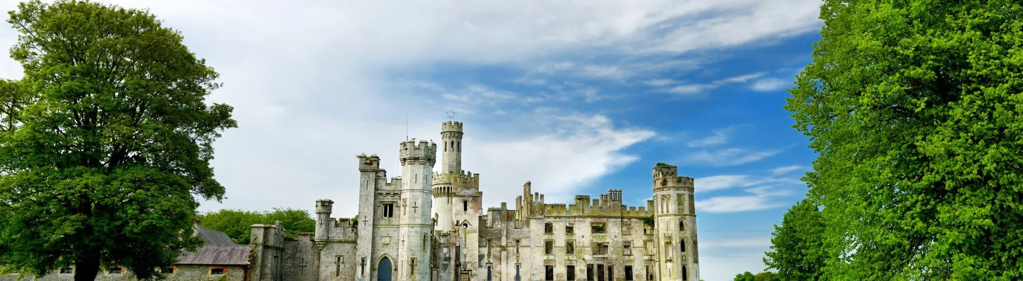 Duckett’s Grove
