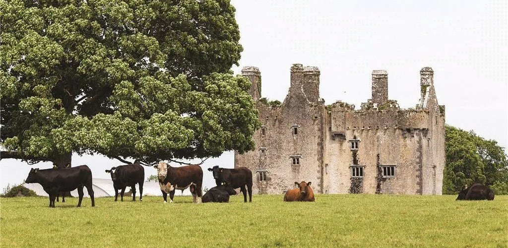 Un castello irlandese del XVI secolo in vendita per oltre 8 milioni di euro!