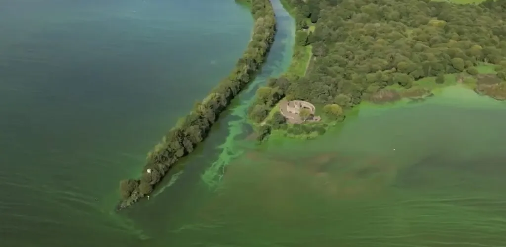 Shock climatico: il Lough Neagh, il più grande lago d’Irlanda in pericolo
