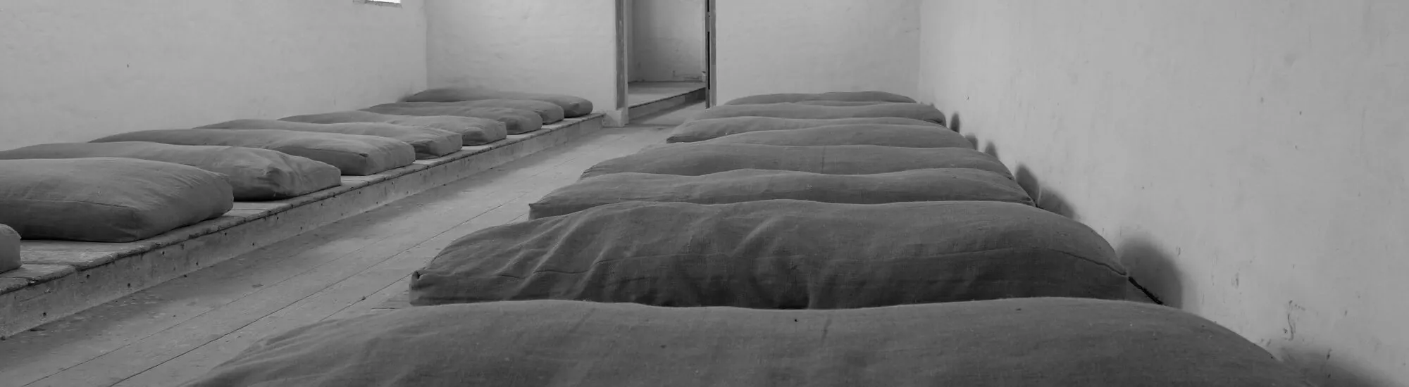 Il Centro Irish Workhouse