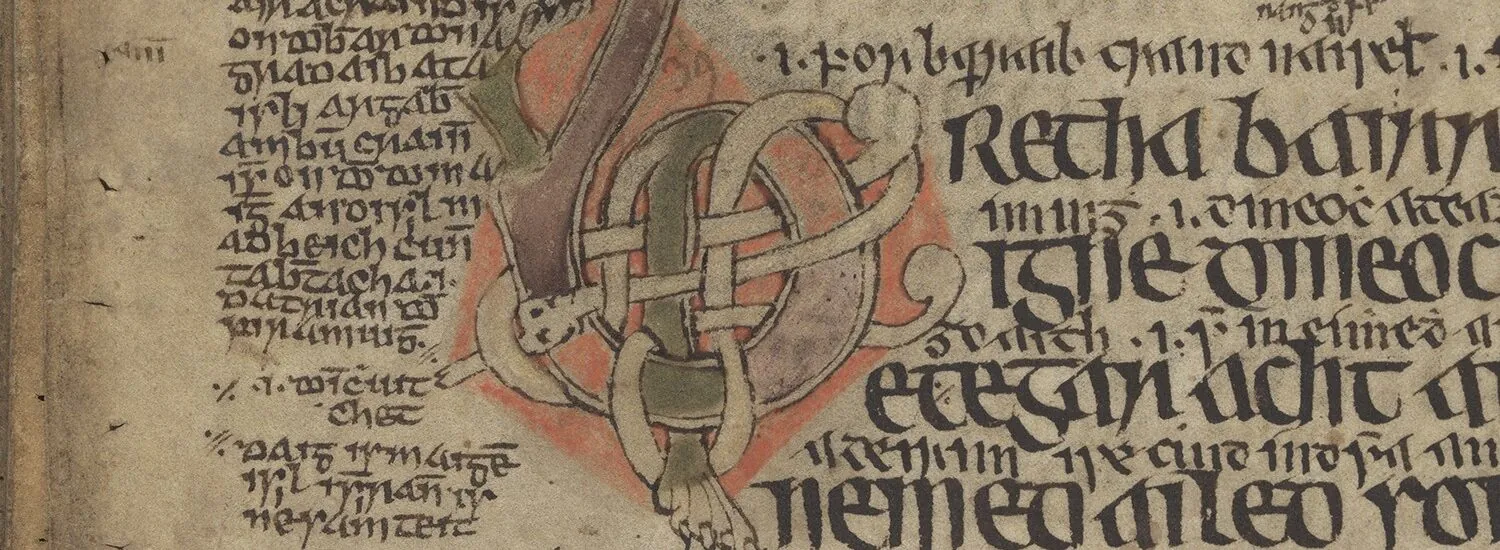 La Legge di Brehon