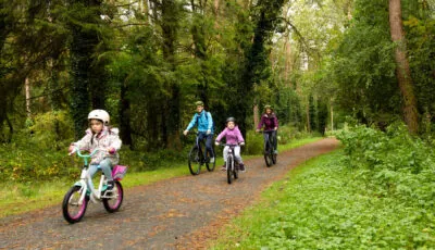 Il bacino di Pollaphuca 2 Il lago artificiale di Poulaphouca può essere esplorato in bicicletta - © Sonder Visual - Fáilte Ireland