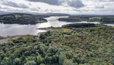 Il bacino di Pollaphuca 1 Il lago artificiale di Poulaphouca - © Sonder Visual - Fáilte Ireland