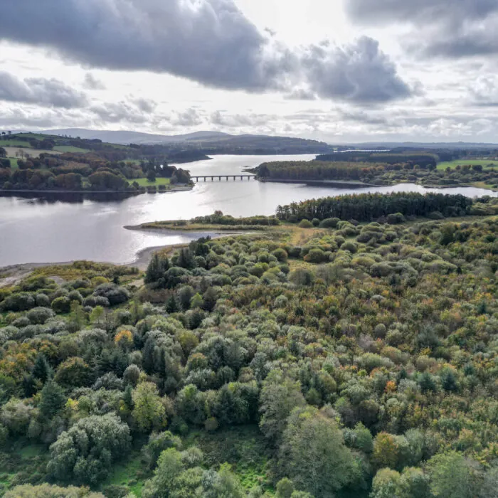 Il lago artificiale di Poulaphouca - © Sonder Visual - Fáilte Ireland