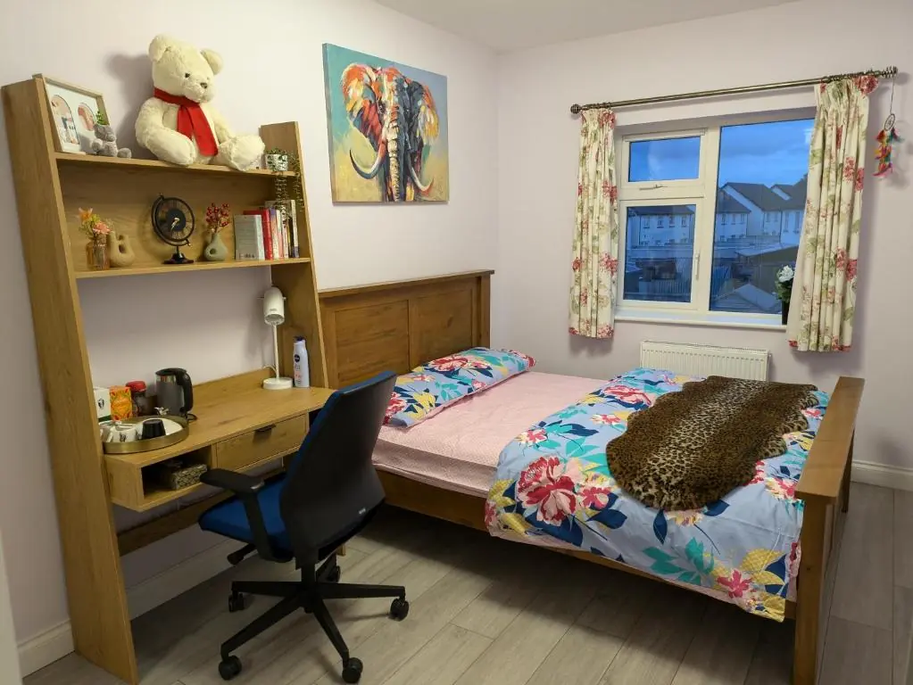 Budget Friendly King Room