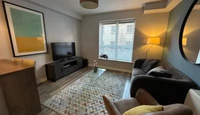 Comfortable and Modern City Apartment