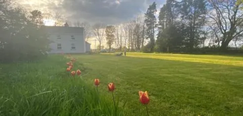 Cosy farmhouse in the heart of Roscommon