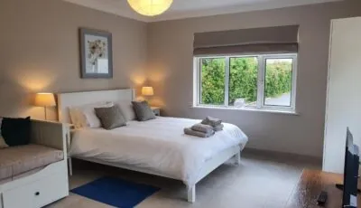 Five Ferns House