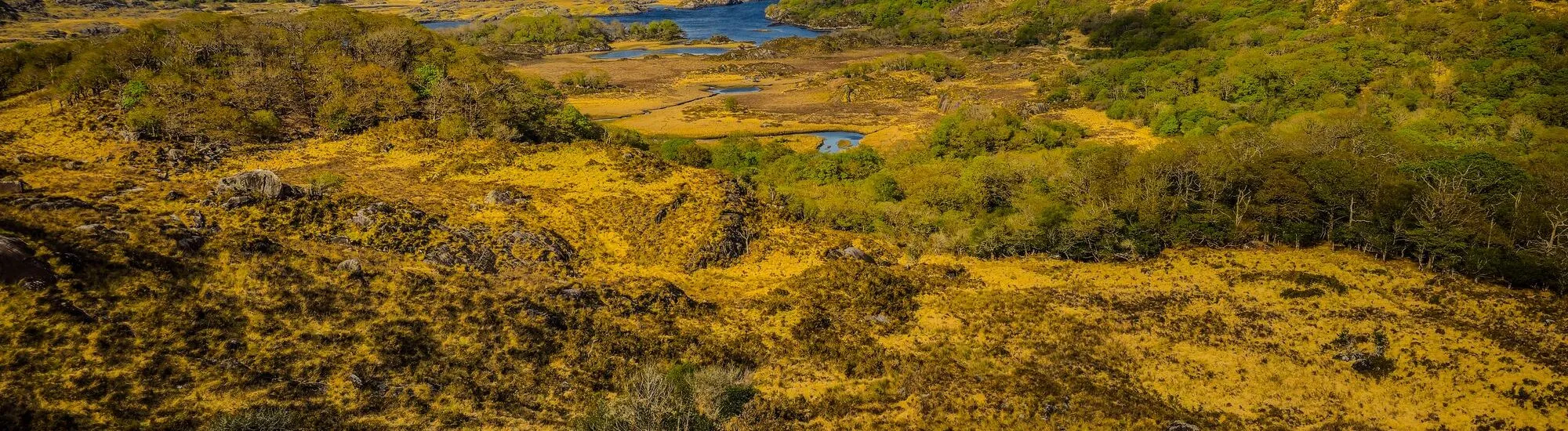 Le più belle escursioni nel parco di Killarney