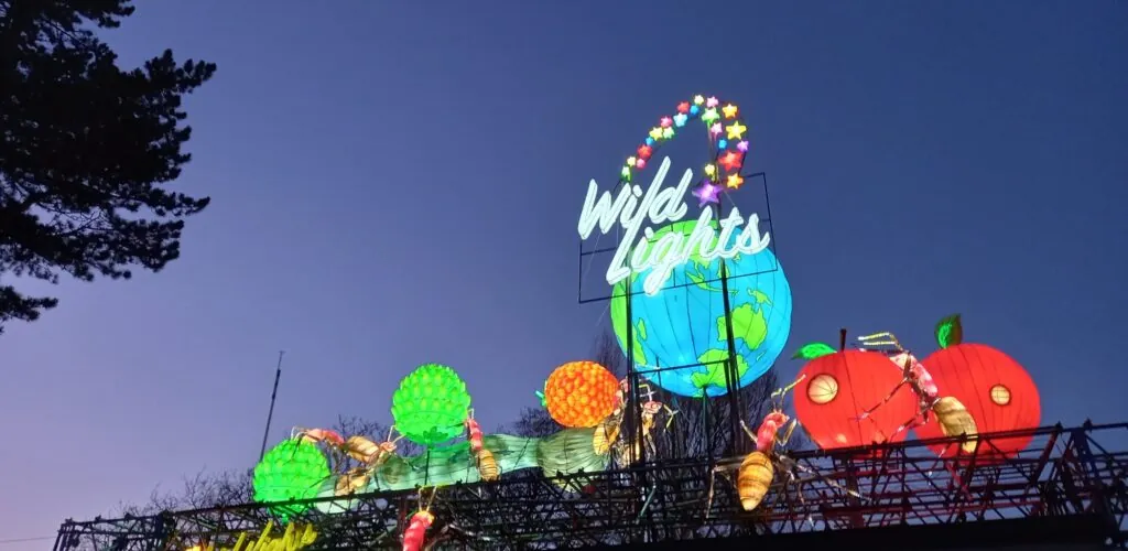 Dublin Zoo svela nove mondi di luce per Wild Lights 2026