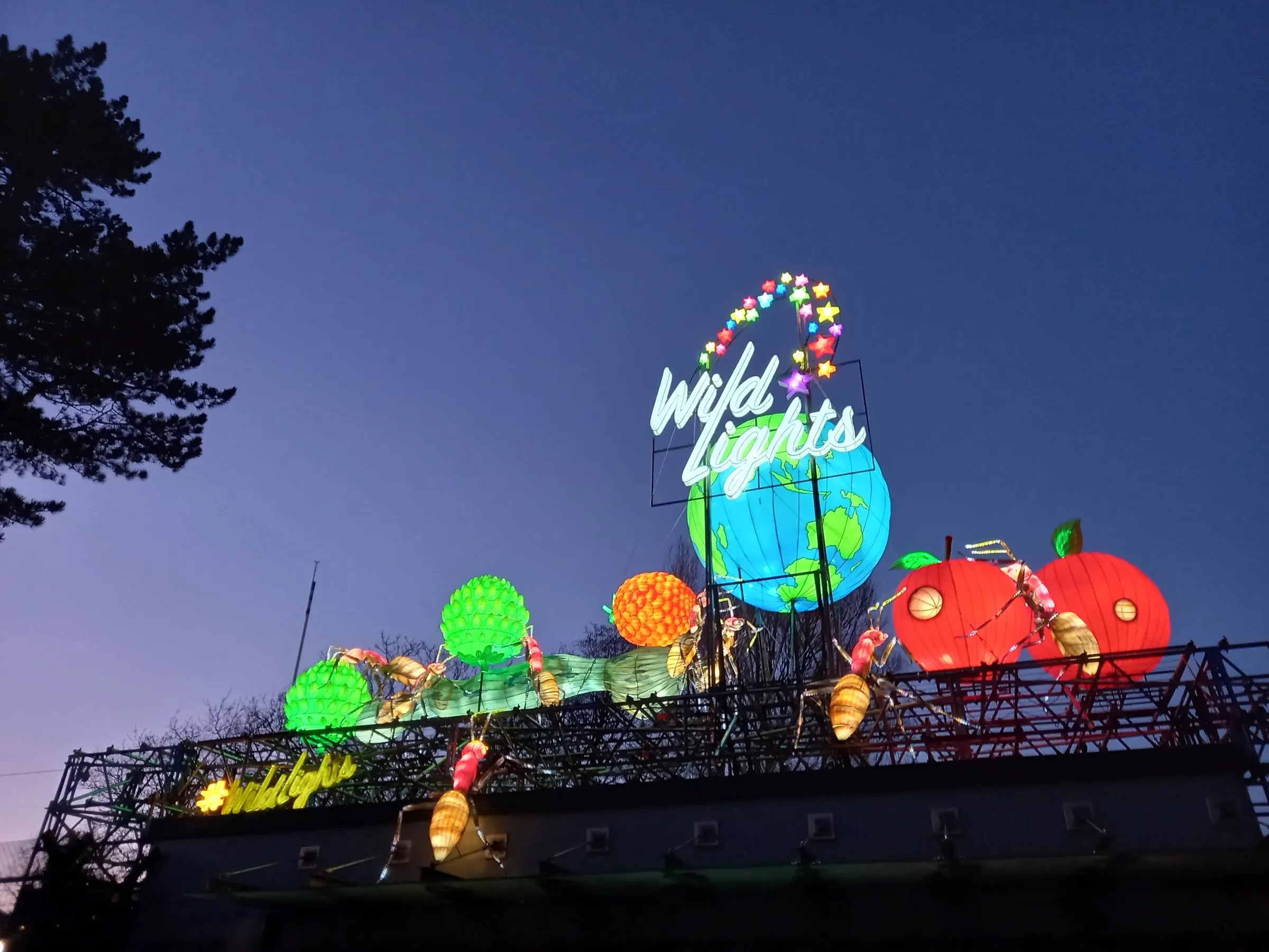 Wild Lights al Dublin Zoo
